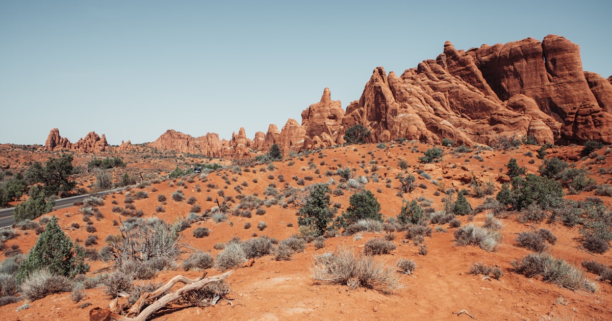 Arid Zone Monthly Planting Calendar