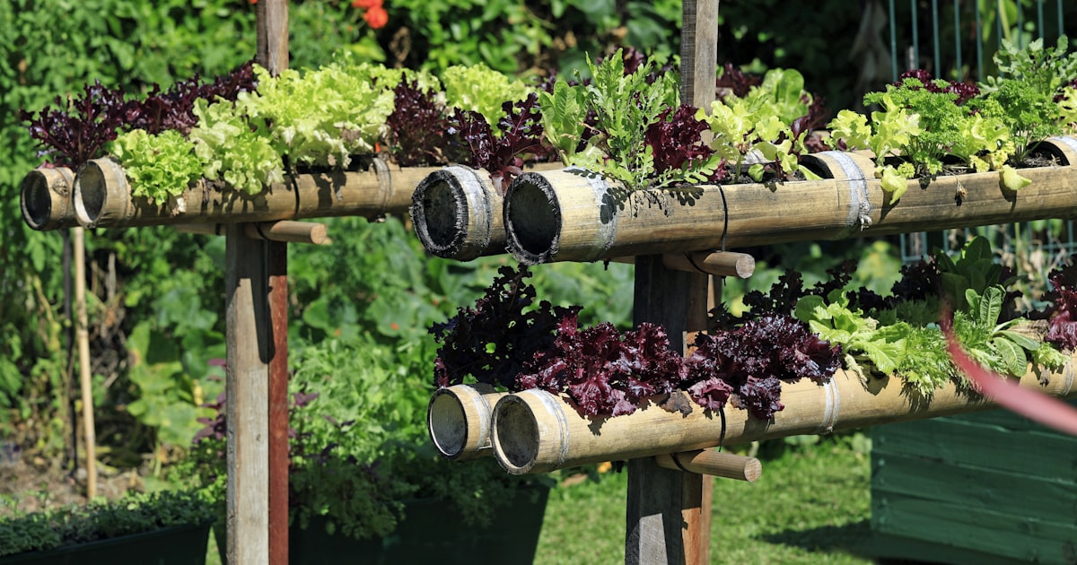 Building a Herb Spiral: Form Meets Function