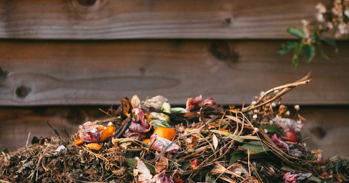 Composting for Beginners: Turn Your Scraps Into Gold