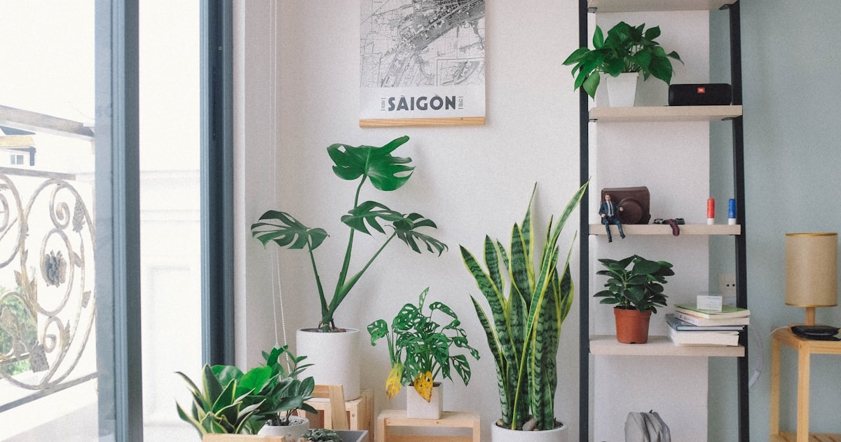 Container Gardening: No Backyard, No Problem