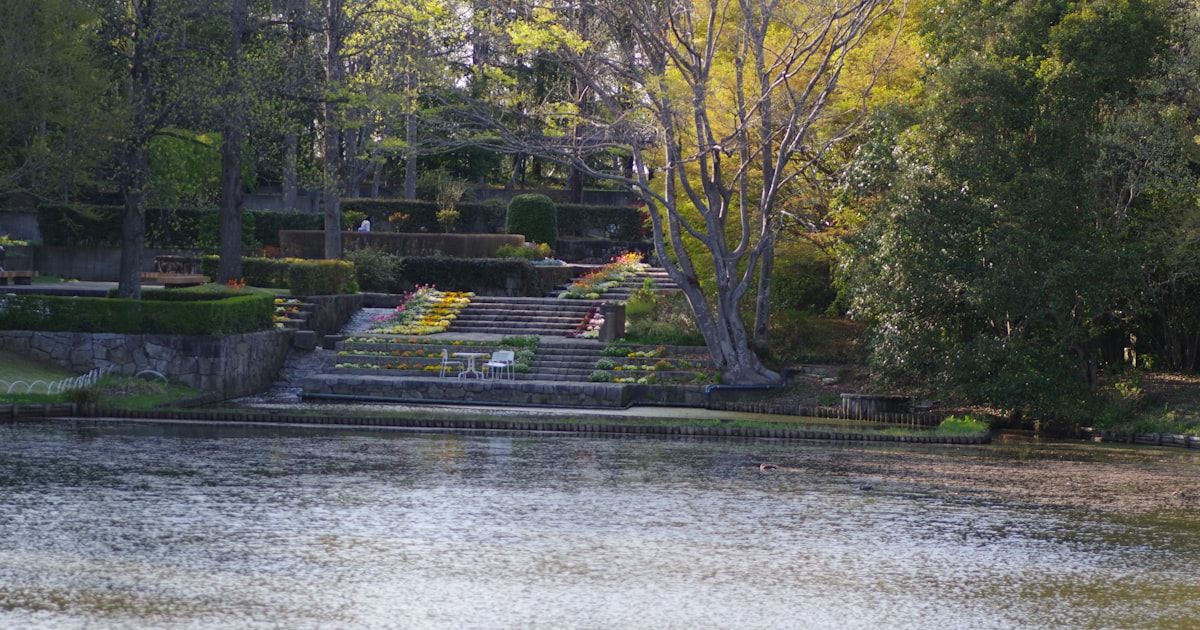 Food Forest Design for Small Australian Spaces