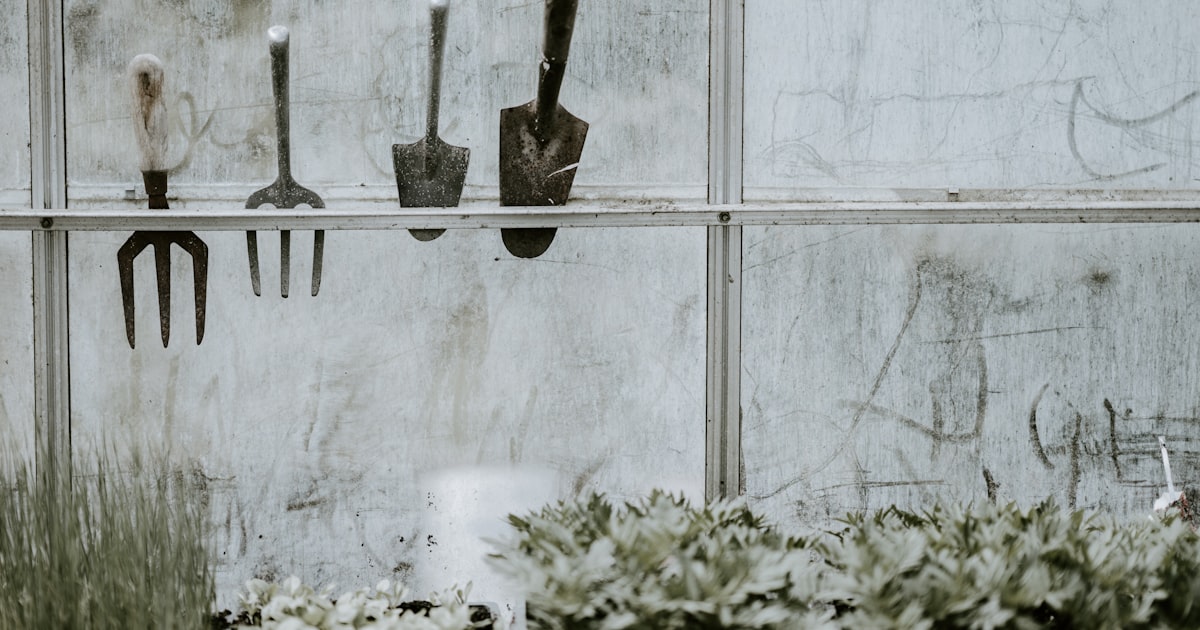 Garden Tools You Actually Need (And Ones You Don't)