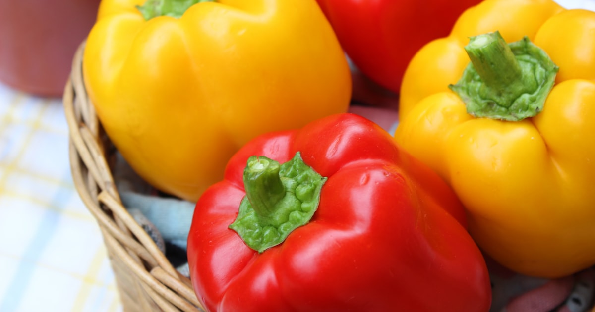 Capsicum: Colour, Crunch, and a Whole Lot of Sunshine