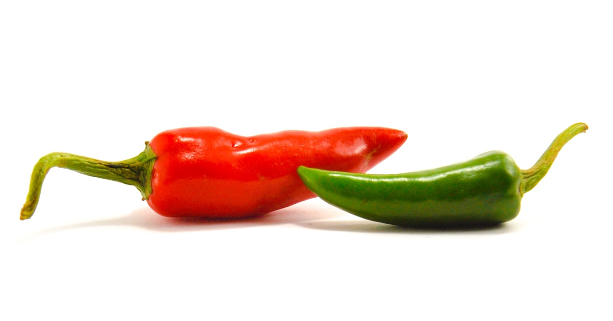 Chilli: Bringing the Heat to Your Garden