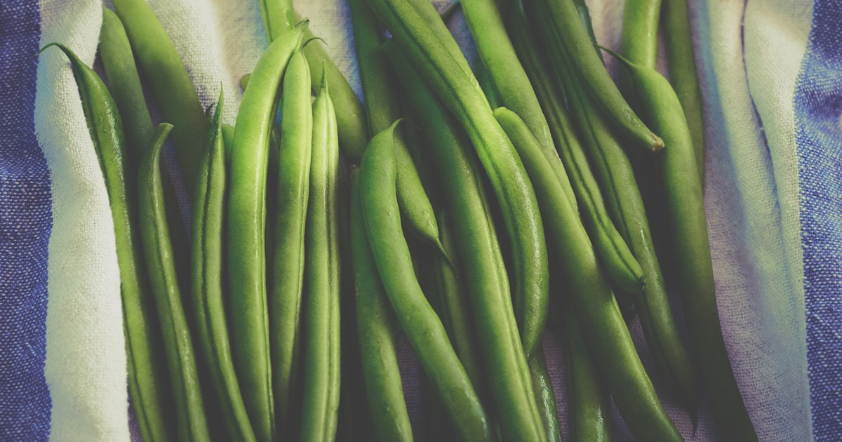 Climbing Beans: Reaching for the Sky