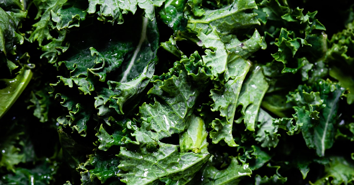 Kale: The Trendy Green That's Actually Worth the Hype