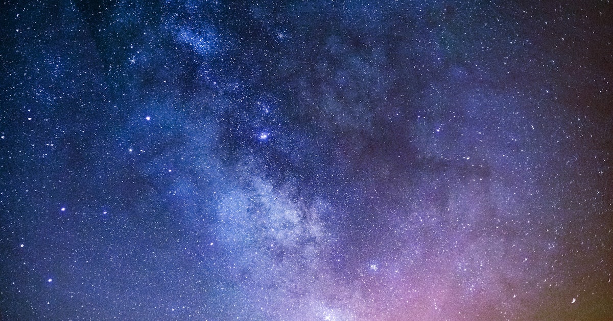 Lavender: Purple Dreams and Practical Uses