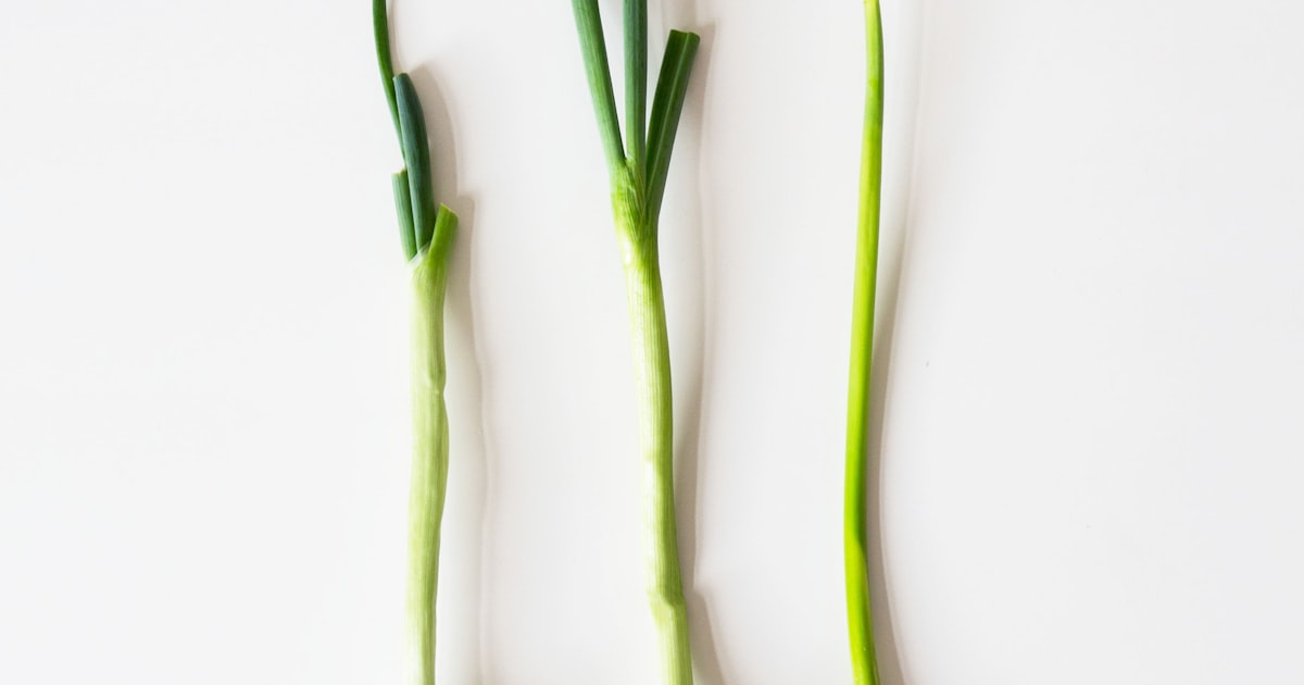 Spring Onions: The Fastest Win in Your Garden