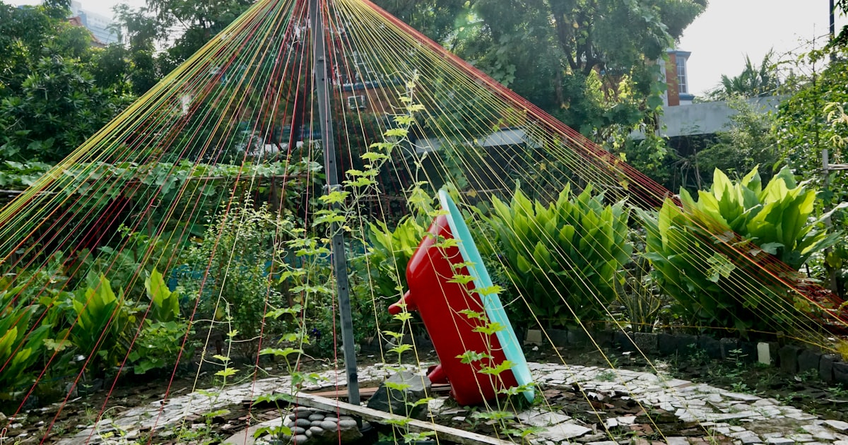 Permaculture Principles for Home Gardeners