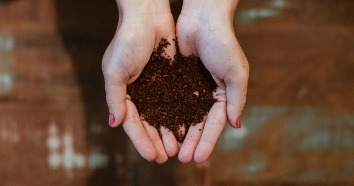 Soil 101: What's Actually Going on Under Your Feet