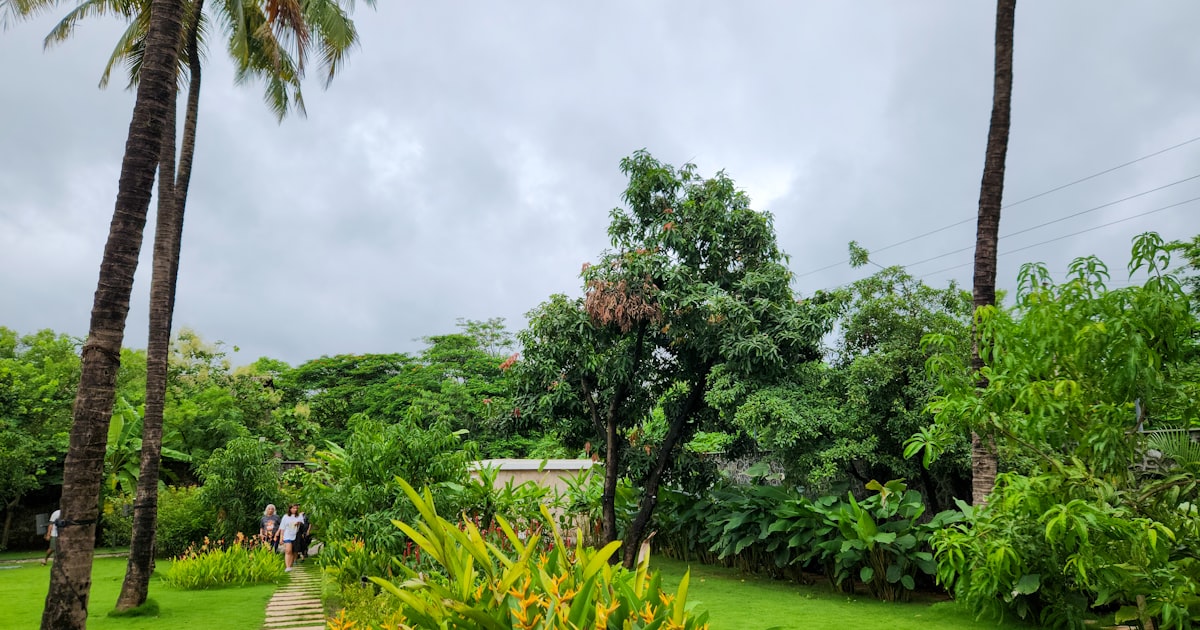 Subtropical Monthly Planting Calendar