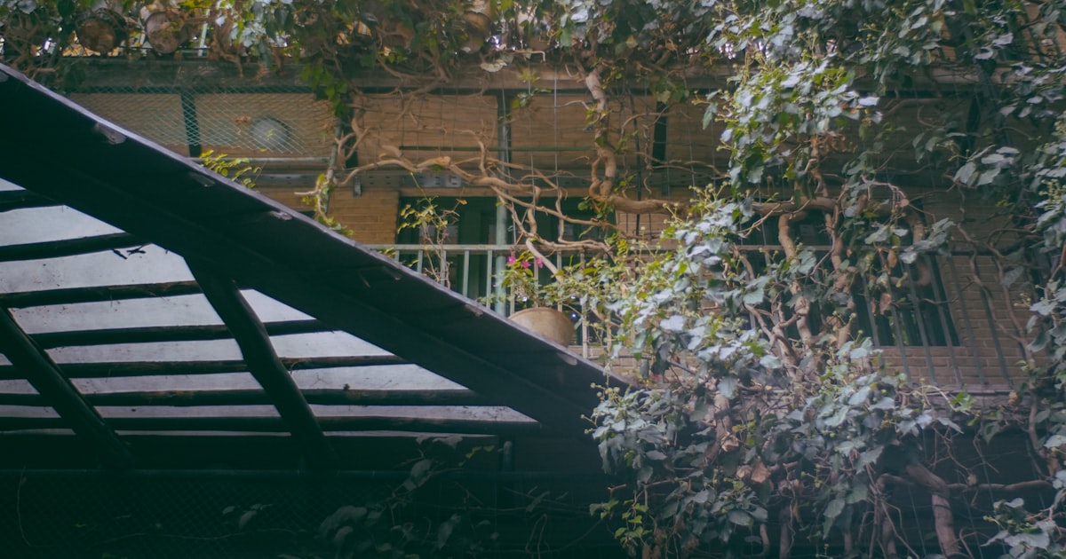 Vertical Gardening: Grow Up, Not Out