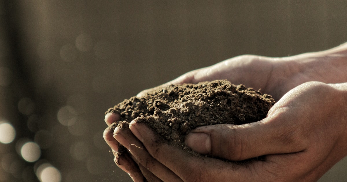 Welcome to Gardening: Your First Steps Into Growing Food